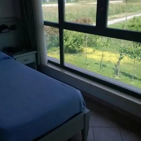 Hotel Del Po 3*